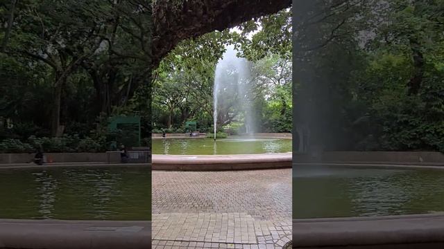 Kowloon Park (九龍公園), Hong Kong