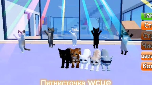 Игра с котятами 🐾💅