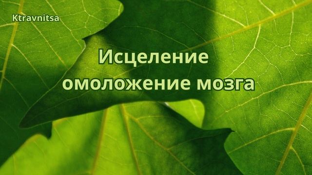 Исцеление и омоложение мозга.