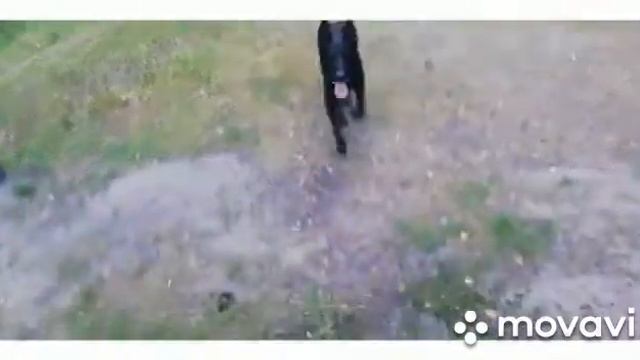 Шерлок высыл к месту