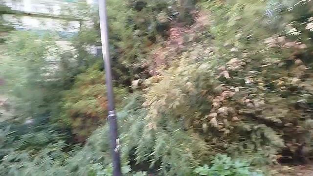 1000007947.mp4