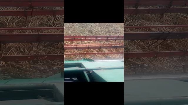 Volvo 800 на уборке овса