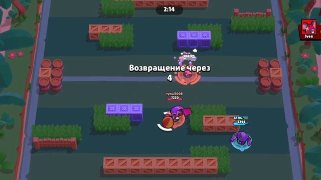 13 стардропов