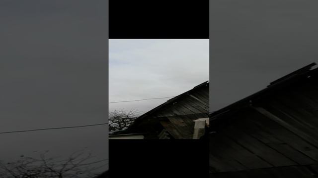 VID_20241025_124557.mp4