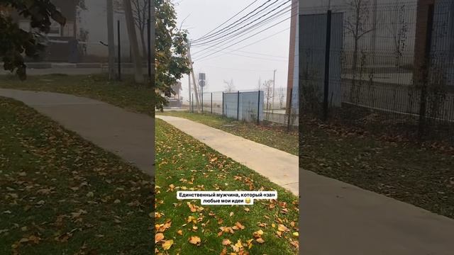 Собака друг человека 🫰🏻