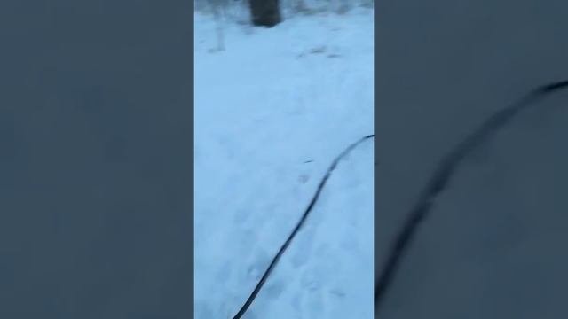 Сюда