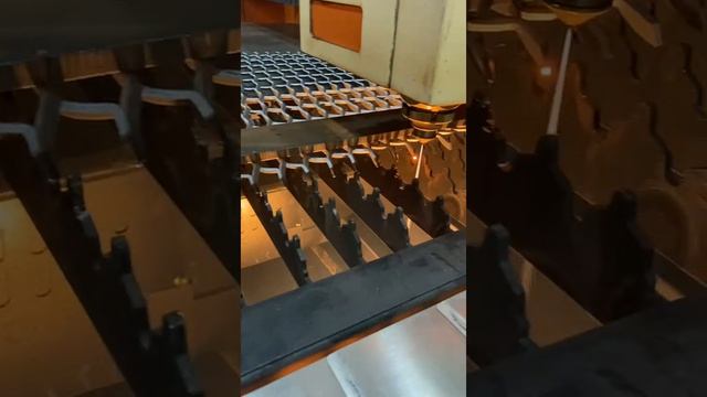 mmexport1731069799134.mp4