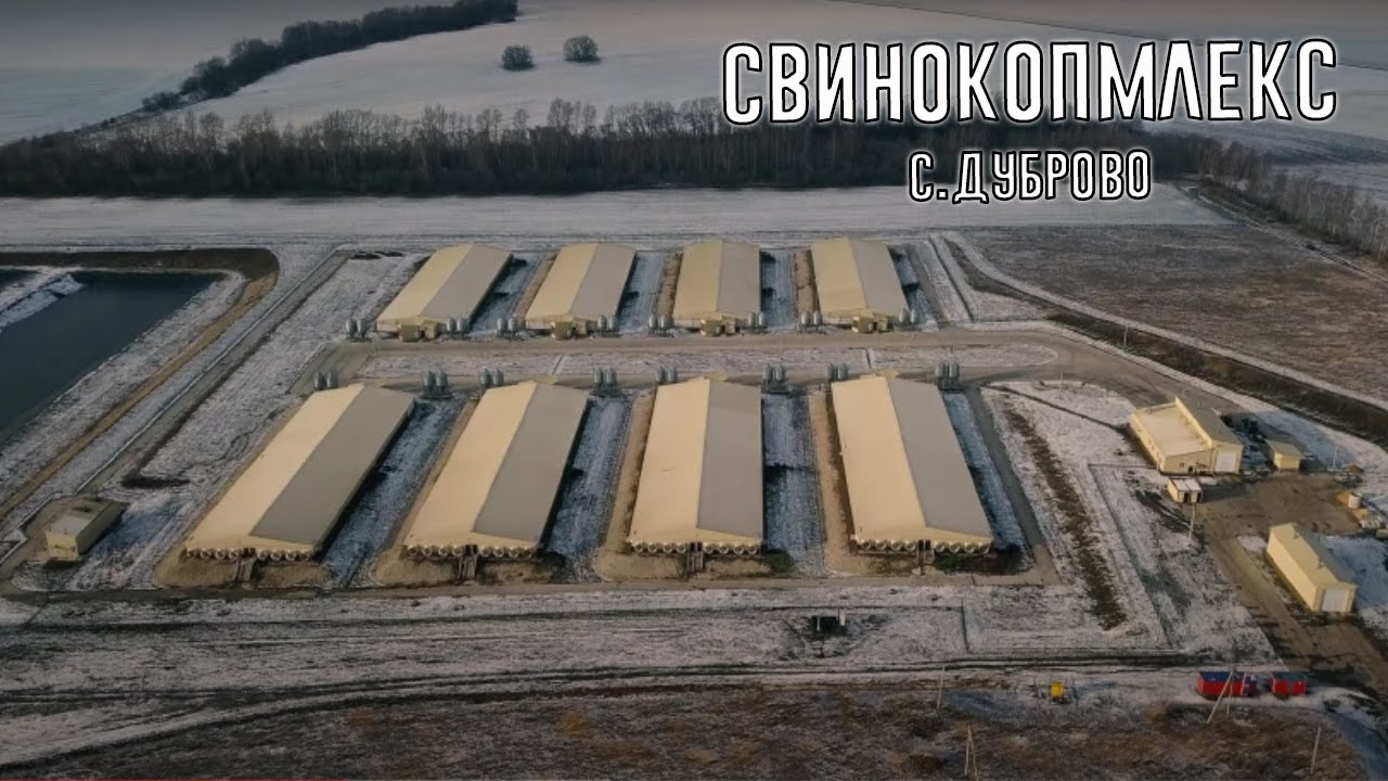 СВИНОКОМПЛЕКС В С.ДУБРОВО