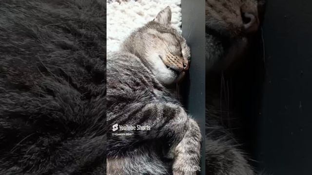 1000003972.mp4