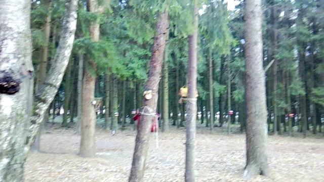 Обзор полок в Чижик.Парк и белочки.Распаковка .Еда. Обзор буклета