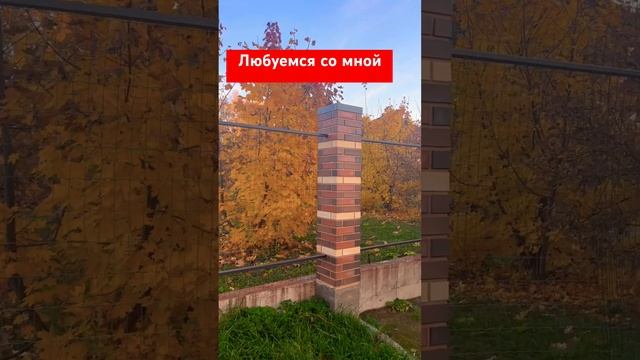 И подписываемся на мой телеграмм https://t.me/Agatmini #чихуахуа #собака #собакаулыбака #nails #cat
