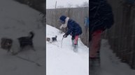 1007099090.mp4
