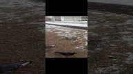 1000075543.mp4
