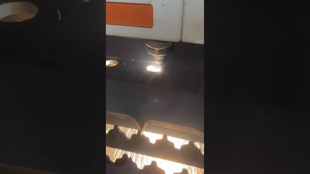 mmexport1730889850047.mp4