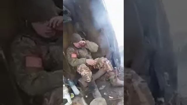 Россия Вперёд! Алтайские ребята Красавчики
