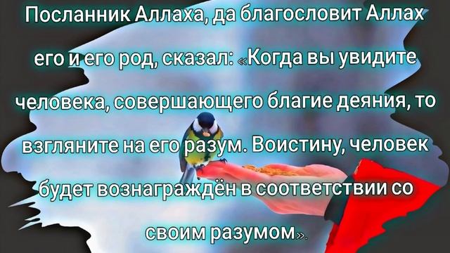 VID-20241110-WA0004.mp4