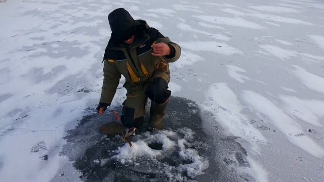 Первый лед.Щука в  "черной воде" р. Караганки
