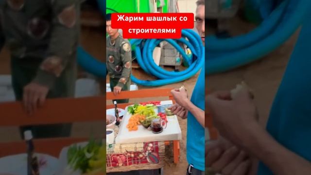 Мы на стройке #собака #собакаулыбака #chihuahua #топ #животные #прикол #чихуахуа #puppy #собаки