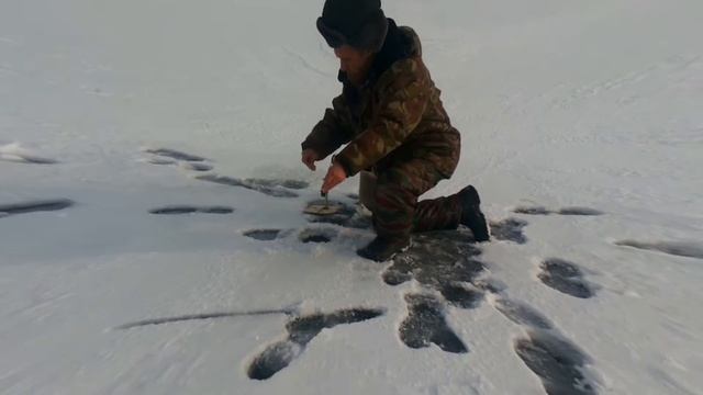 ЩУКА  БАЙКИ НИКОЛАЙКИ
