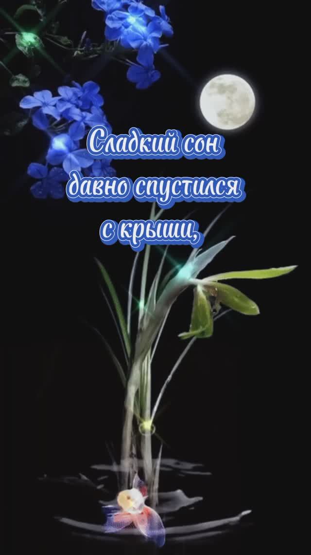 Спокойной ночи🌌музыкальная открытка