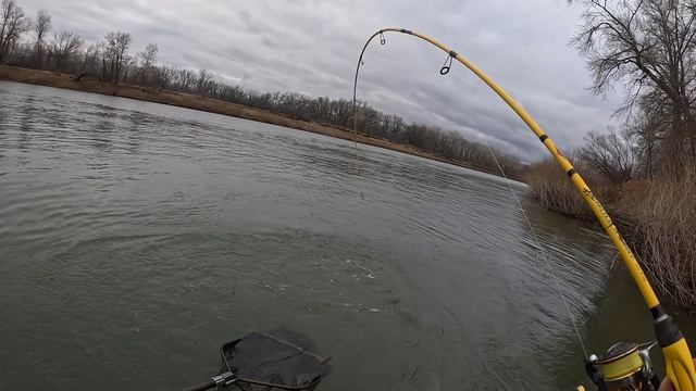 Щука на Урале 10 ноября.