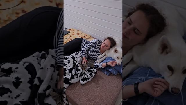 Любить