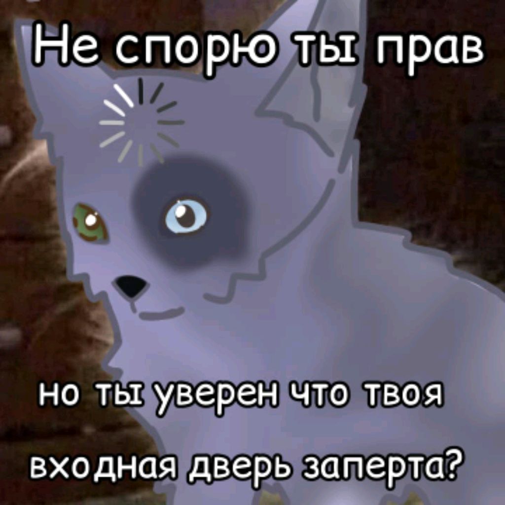 Трансляция😋