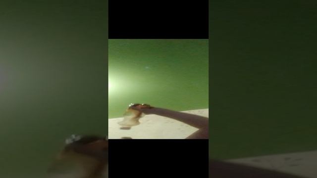 стрим в 3:00