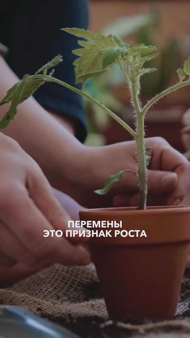 Признаки, что дела ваши лучше, чем вы думаете