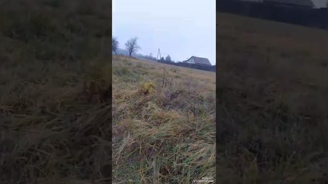 1000020672.mp4