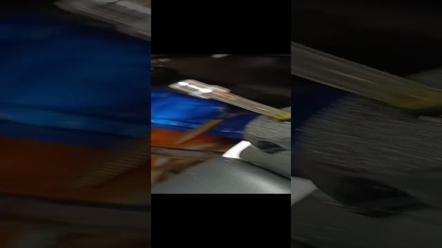 video-10-11-24-03-05