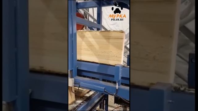 Мурка БРЕВНОПИЛ ГУСЕНИЧНЫЙ БГ 35-55 пилит бревно диаметром 530 мм pilam.ru