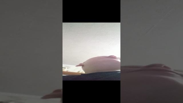 VID_20241109_234032.mp4