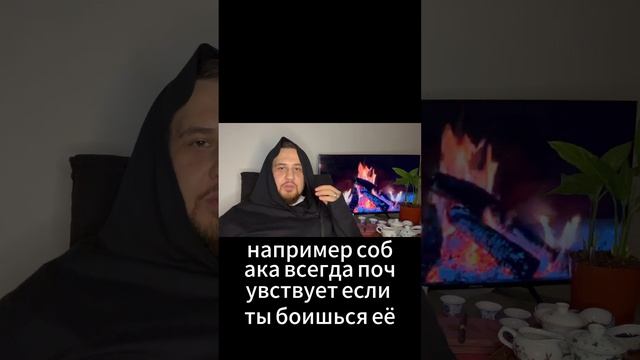 Как люди чувствую твои эмоции