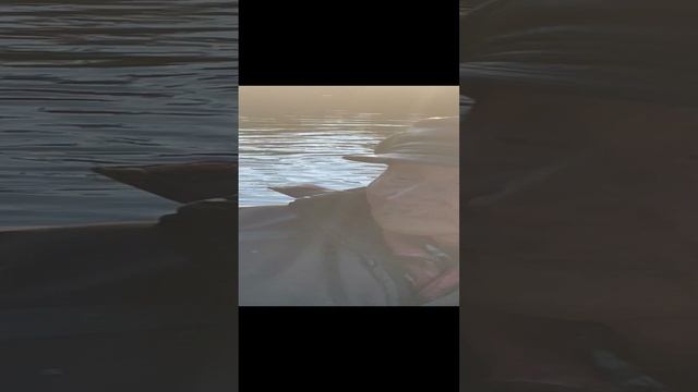 10-11-2024
