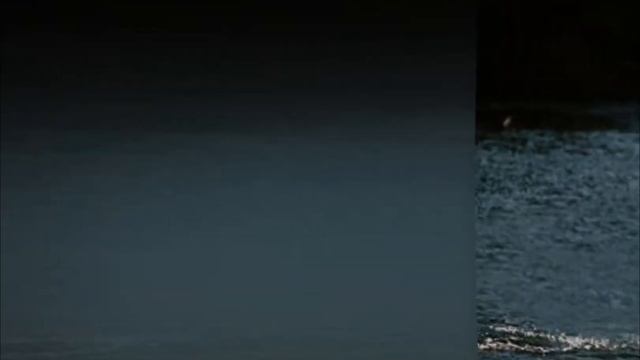 Photo to Video 3D Parallax Effect - After Effects + Photoshop