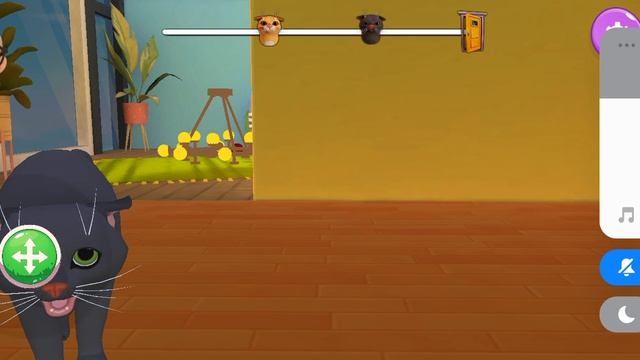 1000533797.mp4