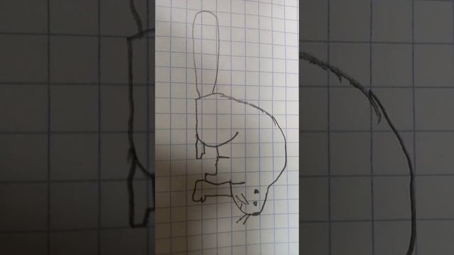 Мы бобры и с нами сила