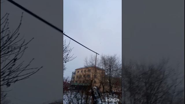 Голуби Ломова