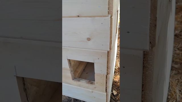 Дом для котов Смоленщины