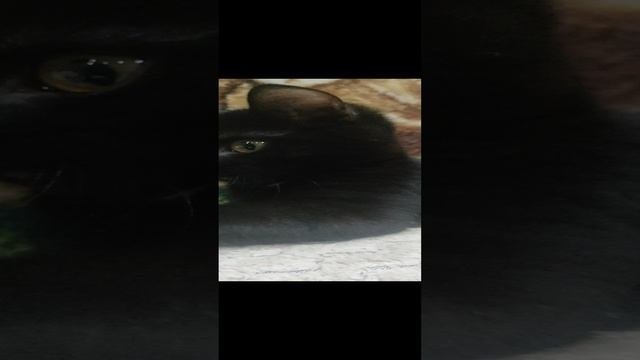 1000122555.mp4