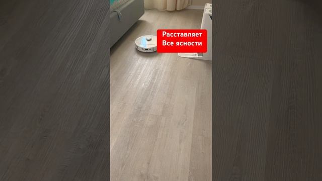 Кто в доме хозяин #чихуахуа #юмор #собака #собакаулыбака #прикол #приколысживотными #смешныеживотные