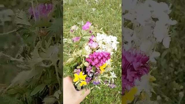 Подпишитесь ставьте лайки
