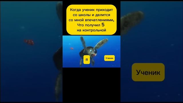 Когда ученик пришел с 5 по контрольной
