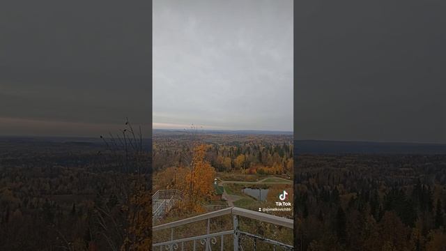 1001701231.mp4