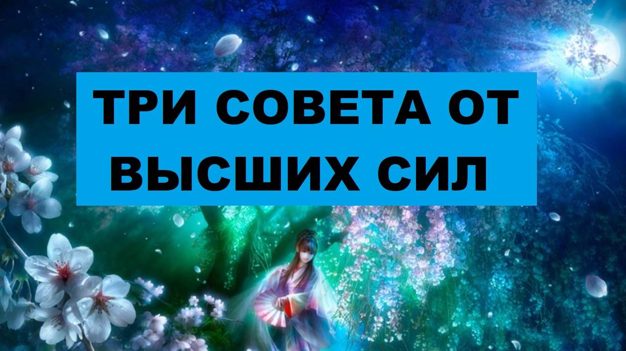 ВЫСШИЕ СИЛЫ ХОТЯТ ПРЕДУПРЕДИТЬ. #таро #гадание #расклад