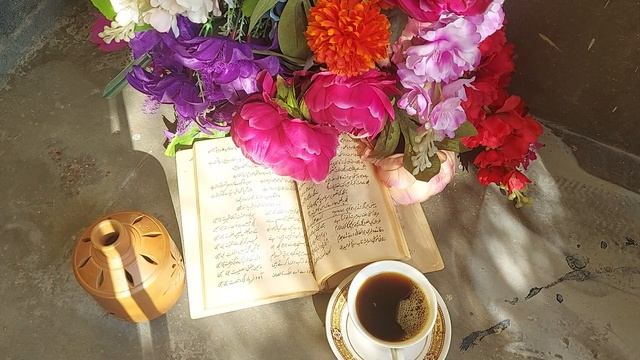 18219391-hd_1920_1080_30fps