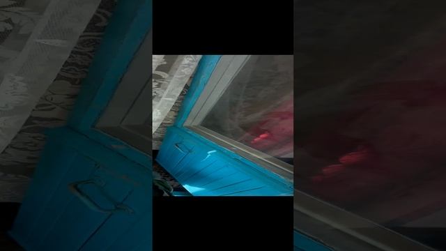 Севастополь, проспект Победы 56, 1кк