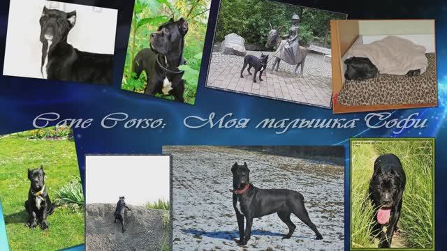 Моя малышка Софи