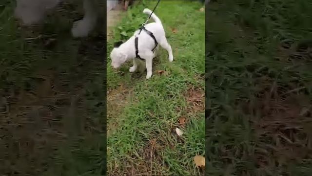 1000007243.mp4